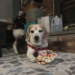 Meet your Posher, Krystyna